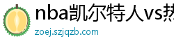 nba凯尔特人vs热火